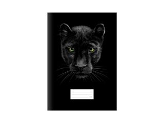Obrázek z Školní sešit A4 440 puma 